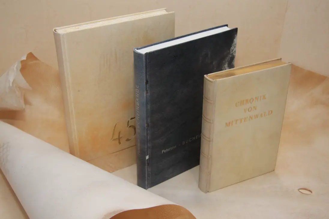 Bücher in Pergament